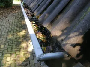 Herfstinspectie dakgoot en regenpijp