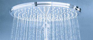 Frans Reichardt douche