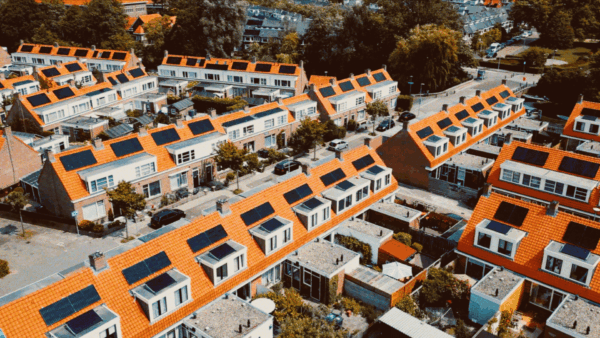 daken vol met zonnepanelen