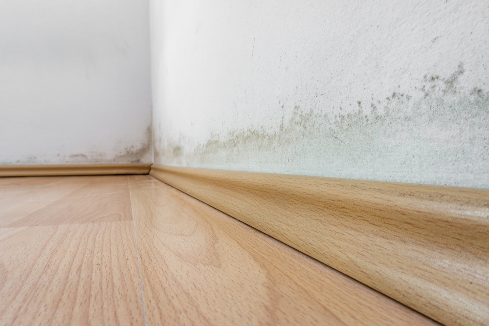 vocht en schimmel op muur in woning